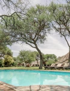 a swimming pool with a tree and some benches at Okahandja Country Hotel in Okahandja