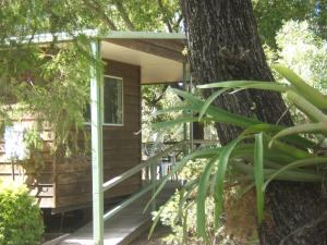 a tree house with a porch next to a tree at Scenic Rim Motel in Aratula