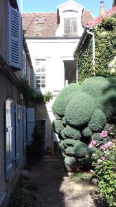 um pequeno beco com um arbusto ao lado de um edifício em Duplex La Maisonnette 2 Chambres - parking gratuit em Troyes