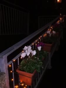 a row of flower pots on a railing with lights at Rio Groppo Guesthouse in Manarola