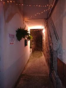 an alley with lights and a tunnel with a plant at Rio Groppo Guesthouse in Manarola