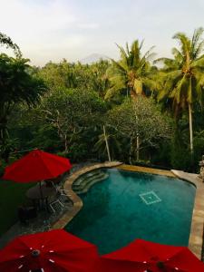 a swimming pool with red umbrellas and palm trees at Bali Villa Djodji in Ubud
