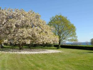 Ein Garten an der Unterkunft 4 person holiday home in Broager