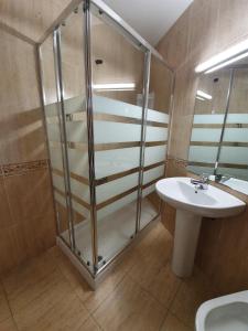 a bathroom with a shower, sink, and toilet at Los Acebos Cangas in Cangas de Onís