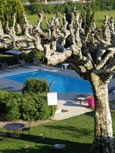 Bazén v ubytování Logis Auberge Saint Simond nebo v jeho okolí