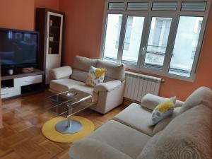 Sala de estar con 2 sofás y TV en Acogedor Apartamento Ribeira Sacra, en Monforte de Lemos