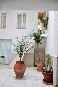 tres grandes macetas en un edificio con escaleras en Loft Rincon del Artista, en Cádiz