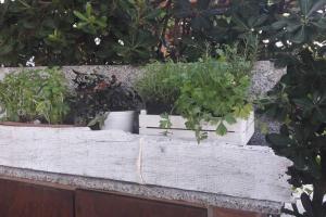 Gallery image of VADA (LI) VILLETTA A 300 MT DAL MARE 8 POSTI LETTO in Vada +42 photos