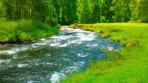 Landskap semula jadi dekat dengan lodge