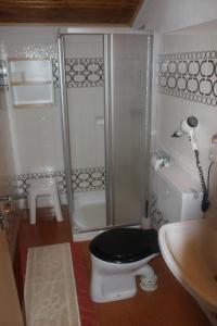 W łazience znajduje się toaleta, prysznic i umywalka. w obiekcie Haus Bergblick w mieście Bad Kleinkirchheim