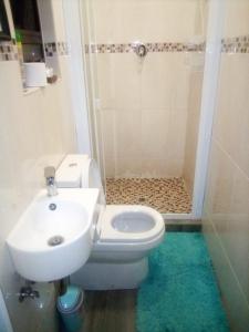 a bathroom with a toilet and a sink and a shower at Mohalalitoe Bed and Breakfast in Maseru