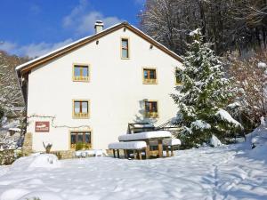 a house in the snow with a christmas tree at Studio La Bergerie by Interhome in Ocourt