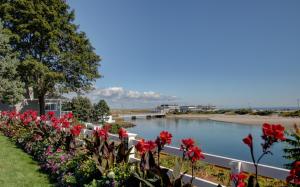 a row of flowers next to a river with a bridge at Terrace By The Sea in Ogunquit