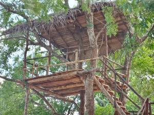 Gallery image of Muwan Palassa Resort in Minneriya +23 photos