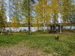 a dog standing in a field next to a gazebo at Holiday Home Talasniemi by Interhome in Hara