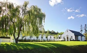 uma casa branca com uma árvore em frente em Brenaissance Wine & Stud Estate em Stellenbosch