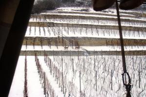 Landhotel Weingut Schulze v zimě