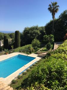 a swimming pool in a garden with a palm tree at Luxurious sea view villa in Saint Paul de Vence in Saint-Paul-de-Vence