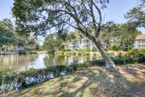 a tree sitting on the side of a river at Turtle Cove 4849 in Kiawah Island