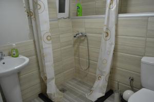 a bathroom with a shower and a toilet and a sink at Honey Home by KOSTOSKI INN in Prilep