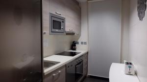 Kuchyňa alebo kuchynka v ubytovaní Apartamentos Real Lleida