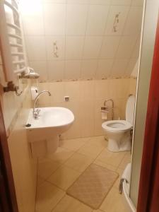 a bathroom with a sink and a toilet at Apartamenty-Wynajem pokoi Zbigniew Tylka in Kościelisko +123 photos