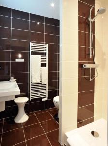 bagno con servizi igienici e lavandino di Hostellerie du Forez a Saint-Galmier