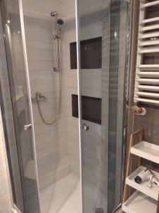 a shower with a glass door in a bathroom at Podzamcze in Rożnów