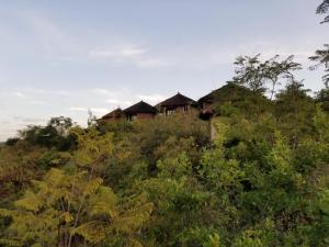 Zdjęcie z galerii obiektu Old Abyssinia Lodge w mieście Lalibela