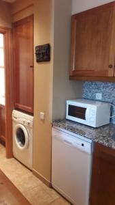 cocina con lavadora y microondas en Apartamento Erta, en Pla de l'Ermita
