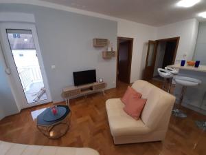 Televízia a/alebo spoločenská miestnosť v ubytovaní Apartman Jelacic Vinkovci