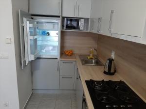 Kuchyňa alebo kuchynka v ubytovaní Apartman Jelacic Vinkovci