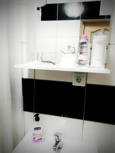 スヴェトロゴルスクにあるRauschen apartmentsの洗面台の上に棚が付いたバスルーム