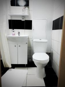 スヴェトロゴルスクにあるRauschen apartmentsのバスルーム(白いトイレ、シンク付)