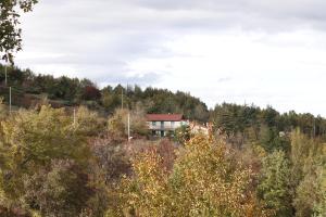 Príroda v okolí dovolenkového domu