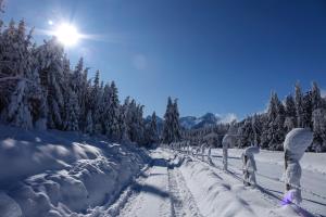 Haus Alpengluehn durante l'inverno