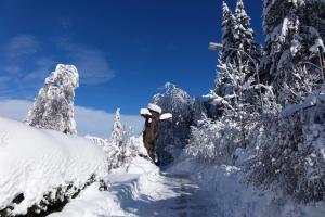 Haus Alpengluehn durante l'inverno