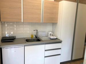 A kitchen or kitchenette at Apartments M, Kallikratia