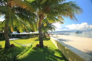 eine Hängematte zwischen zwei Palmen am Strand in der Unterkunft Wild Orchid Beach Resort in Olongapo