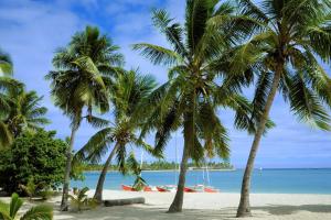 eine Gruppe von Palmen am Strand mit dem Meer in der Unterkunft Musket Cove Island Resort in Malolo Lailai