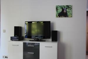 Televisyen dan/atau pusat hiburan di Ferienresidenz Jägerstieg / FeWo Kruse