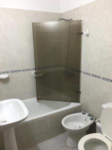 a bathroom with a shower and a toilet and a sink at Apart Hotel Guarumba in Federación