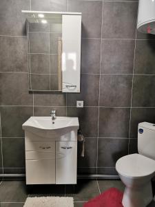 a bathroom with a toilet and a sink and a mirror at Loft style apartments in the center in Sumy +7 photos