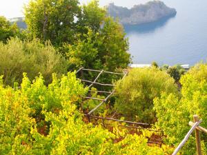 a view of a hill with trees and a body of water at GIARDINO SUL MARE in Amalfi