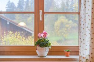 Zahrada ubytování Ferienwohnung Sommerwind