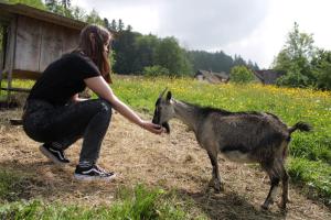 Animales en el agroturismo o alrededores