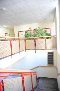 an empty gym with plants on the wall at Piros Arany Panzió Kalocsa in Kalocsa