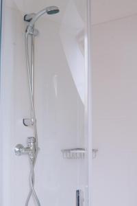 La salle de bains est pourvue d'une douche et d'une porte en verre. dans l'établissement Penzion Červená voda -penzion s dotekem dálek, à Červená Voda