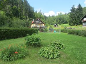 Zahrada ubytování Pension Vladimír