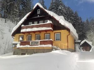 Pension Vladimír v zimě